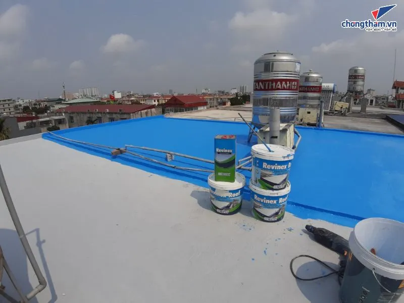 Vật liệu chống thấm Revinex Roof